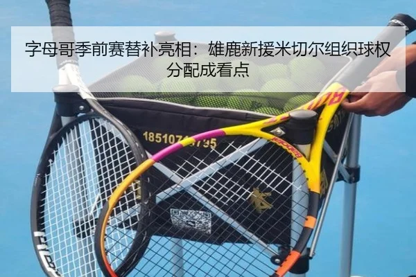 字母哥季前赛替补亮相：雄鹿新援米切尔组织球权分配成看点