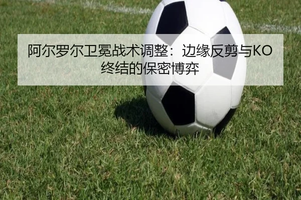 a-er-luo-er-wei-mian-zhan-shu-tiao-zheng-bian-yuan-fan-jian-yu-zhong-jie-de-bao-mi-bo-yi-2-631.jpg